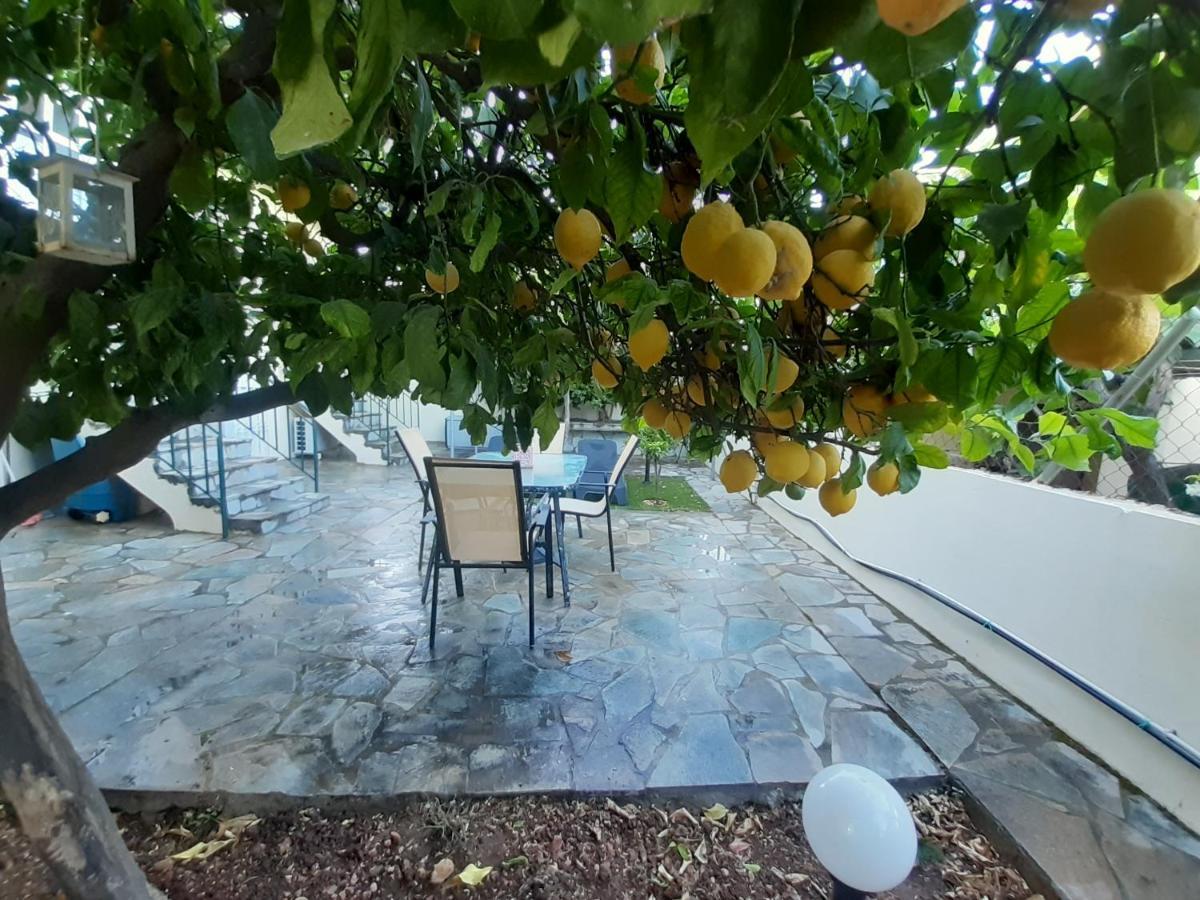 Cozy Apartments Near The Airport Artemida (Attica) Exterior foto